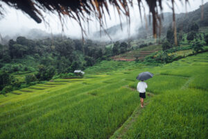 South East Asia Rainy Season