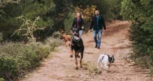 Spring Fitness Ideas