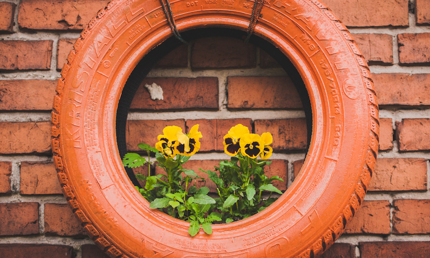 Spring Recycling in the garden