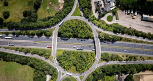 Staying Mentally Agile in the Digital Age