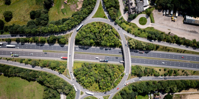 Staying Mentally Agile in the Digital Age