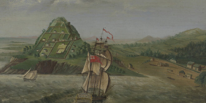 The ART OF COLONISATION