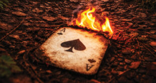 The Burn Card