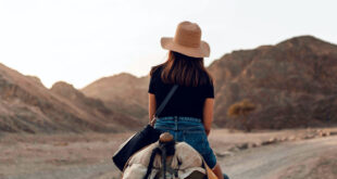 The Unexpected Gains of Travel