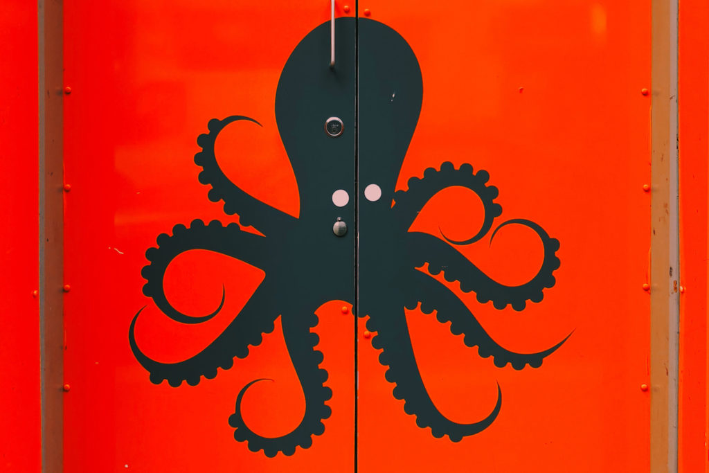 Tickled_Octopus_GrownUps