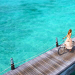 Auckland Travel Show