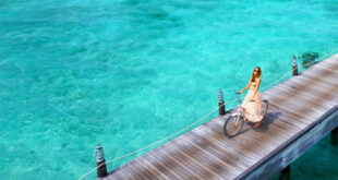 Auckland Travel Show