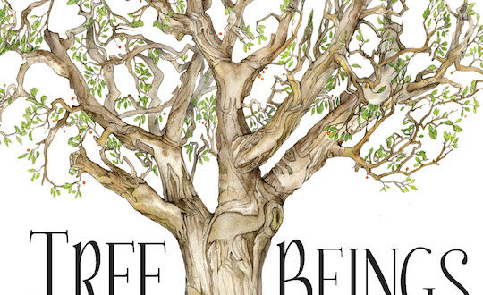 Tree Beings Book