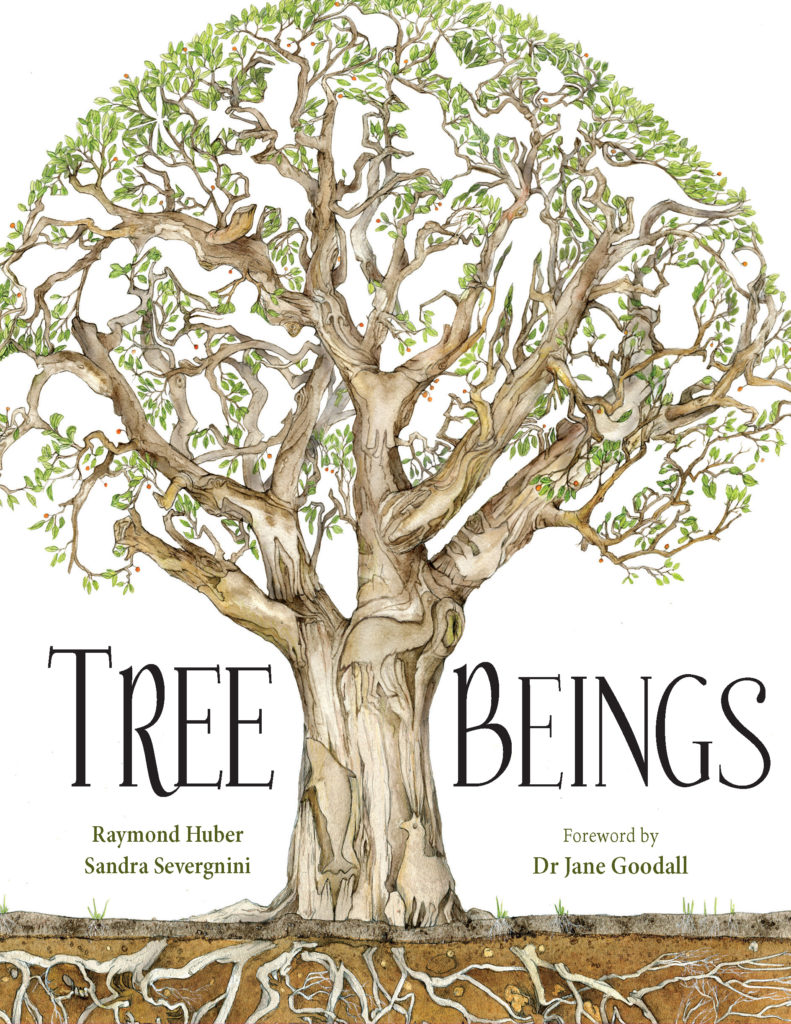 Tree Beings Book