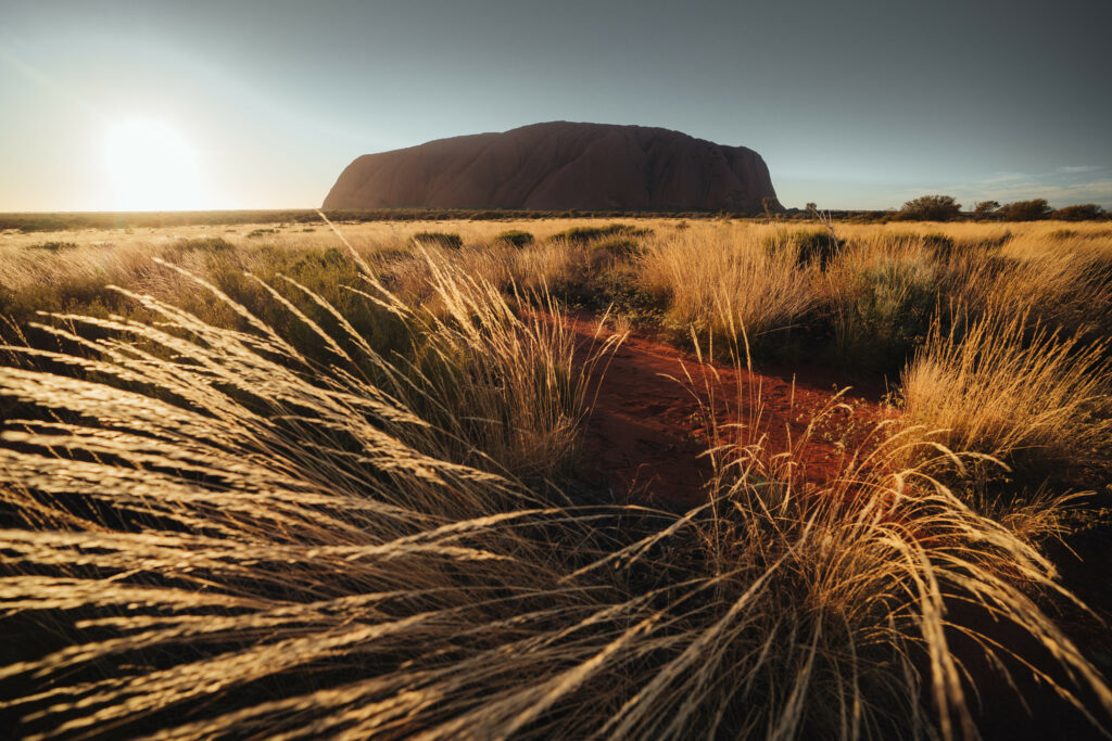 The desert landscape illuminated as the sun sets behind Uluru. Photo courtesy of AAT Kings.