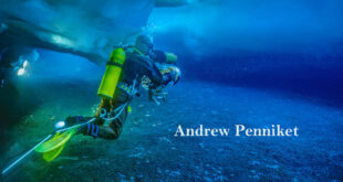 Whales Snails and Lobster Tales