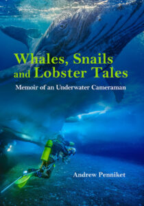 Whales Snails and Lobster Tales