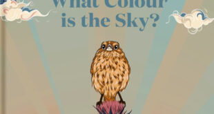 What colour is the sky