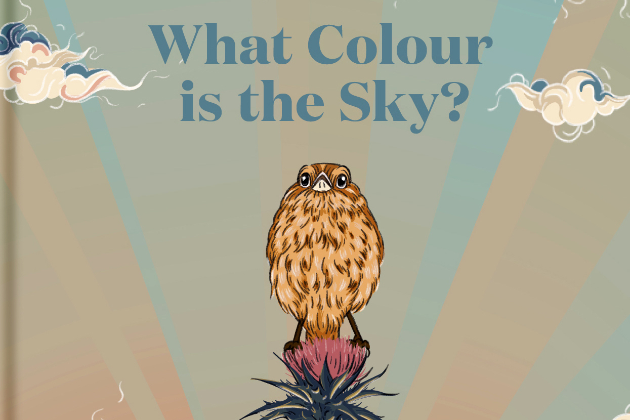'What Colour is the Sky?' by Laura Shallcrass GrownUps New Zealand