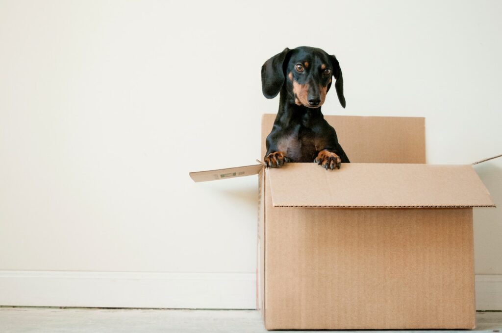 What To Consider When Moving House
