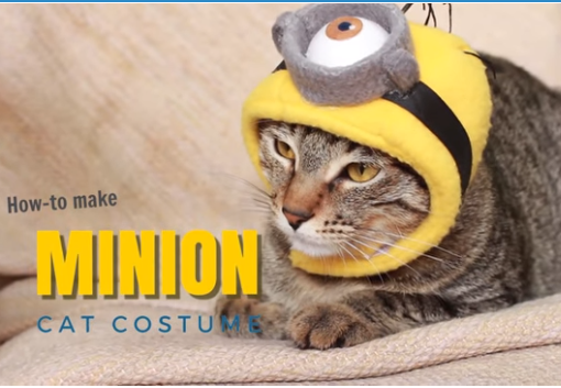 YouTube tutorial minion cat costume