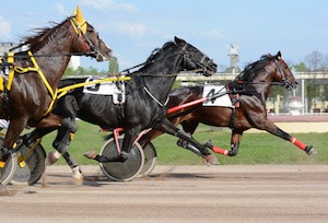 Cascade of three trotters on the move