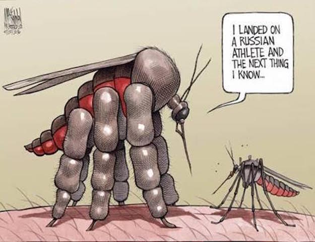 mosquito