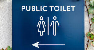 travel tips for tracking down a loo
