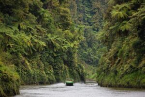 whanganui river jetboat